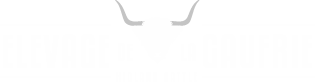 Elevage de la Gaufrie - Hihgland Cattle
